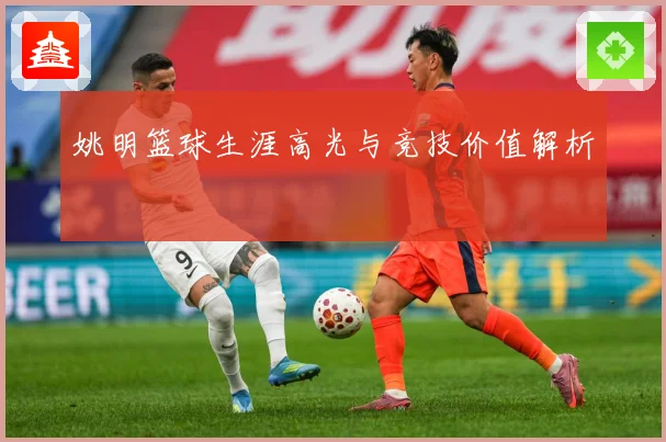 姚明篮球生涯高光与竞技价值解析