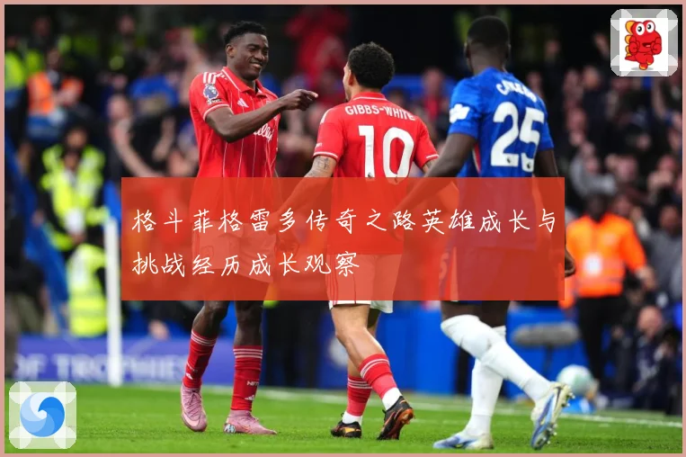 格斗菲格雷多传奇之路英雄成长与挑战经历成长观察