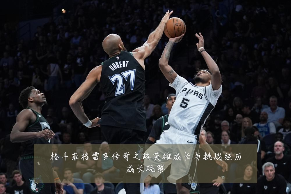 格斗菲格雷多传奇之路英雄成长与挑战经历成长观察