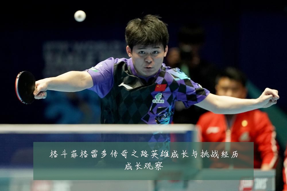 格斗菲格雷多传奇之路英雄成长与挑战经历成长观察